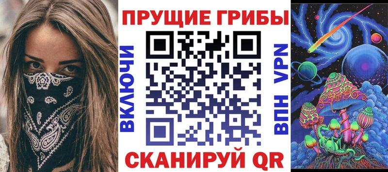 darknet клад  Северо-Курильск  Галлюциногенные грибы Psilocybe 